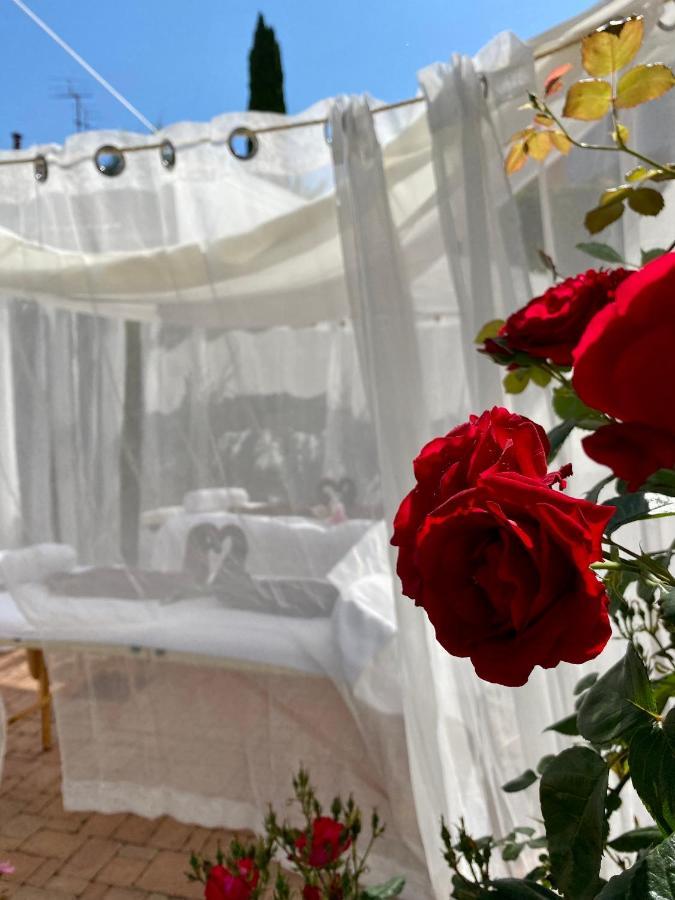 Sunvilla Koper Zewnętrze zdjęcie