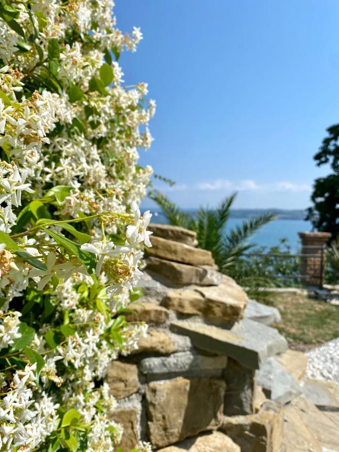 Sunvilla Koper Zewnętrze zdjęcie