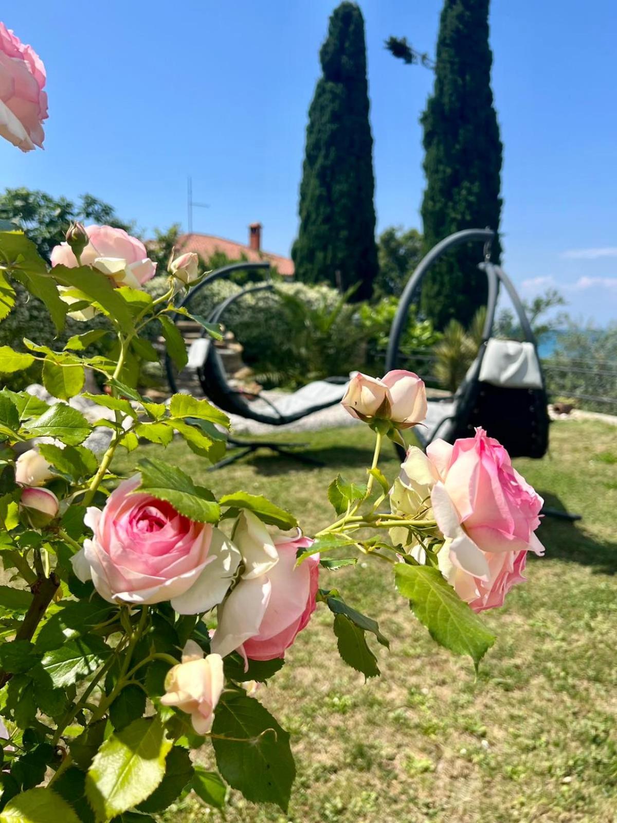 Sunvilla Koper Zewnętrze zdjęcie